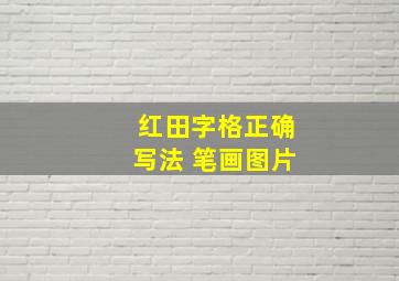 红田字格正确写法 笔画图片